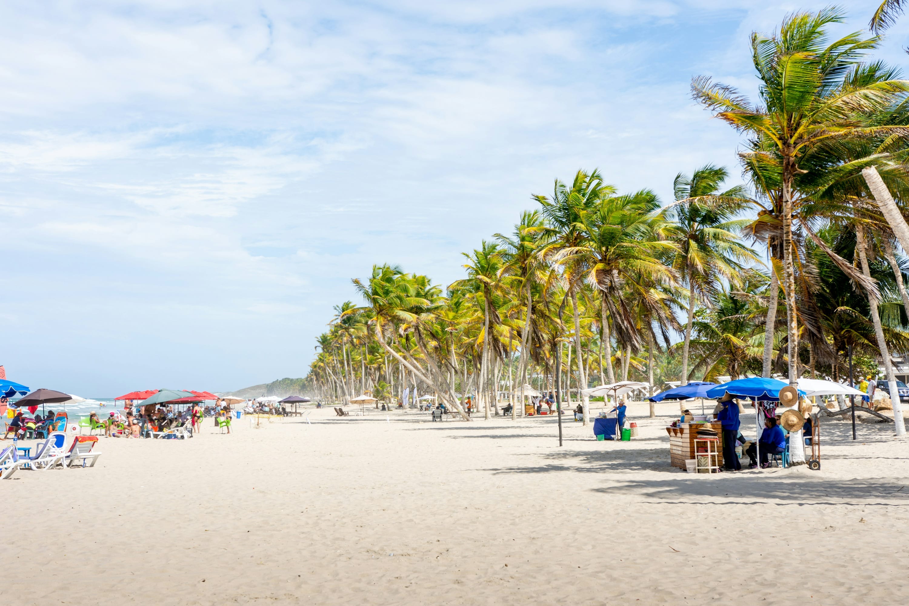 Playa con palmeras en la Isla de Margarita